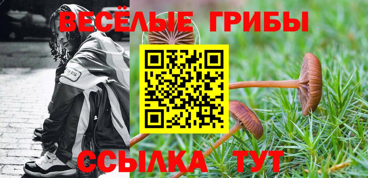 Псилоцибиновые грибы Cubensis  Вход с VPN  Михайловка 