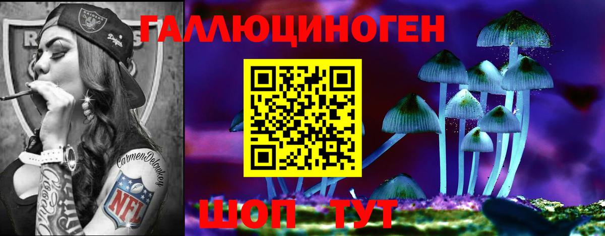 Галлюциногенные грибы Cubensis Михайловка